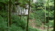 PICTURES/Cedar Sink Trail - Mammoth Cave NP/t_Rock Formation by Sinkhole.JPG